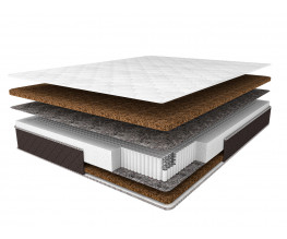 Balance Cocos S-1000